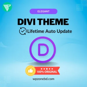 Divi Theme Lifetime Auto Update